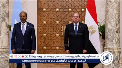 عاجل| الرئاسة تكشف تفاصيل مباحثات الرئيس السيسي ونظيره الصومالي