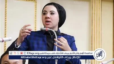 البرلمان يوافق على استقالة النائبة أميرة صابر للترشح في انتخابات مجلس الشيوخ