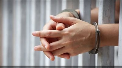 سقوط عنصر جنائي بتهمة النصب والتزوير بالطالبية 