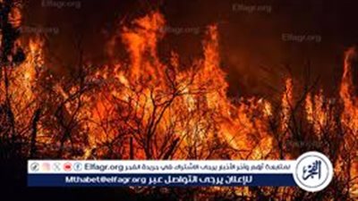 رئيس حزب البيئة العالمي يحذر: شرق المتوسط مقبل على حرائق مدمرة بسبب التغير المناخي