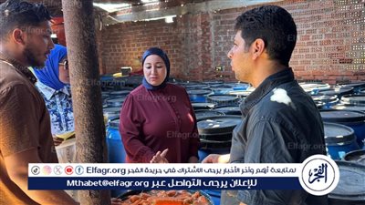 تموين الدقهلية: يضبط 7.5 طن مخللات ودواجن غير مصرح بها في حملات رقابية مكثفة