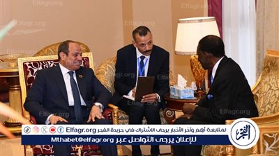 عاجل- السيسي يلتقي رئيس غينيا الاستوائية بمالابو ويؤكدان تعزيز التعاون القاري والاستثماري بين البلدين