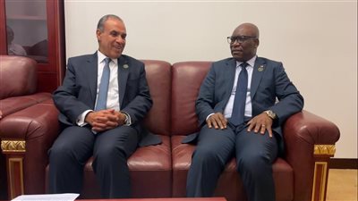 وزير الخارجية والهجرة يعقد لقاءات مكثفة مع عدد من نظرائه الأفارقة وكبار مسئولي الاتحاد الإفريقي