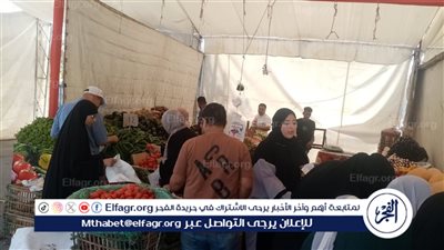 محافظ الدقهلية: استمرار انطلاق أسواق اليوم الواحد الجمعة والسبت كل أسبوع