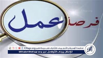 عاجل- 3500 فرصة عمل مباشرة بالقنطرة غرب.. المنطقة الاقتصادية لقناة السويس تُطلق مشروعات نسيج ضخمة بالتعاون مع الصين