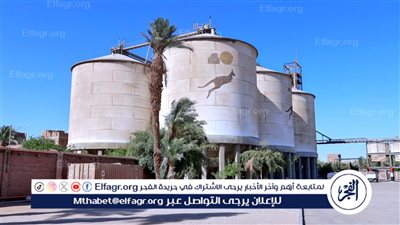 محافظ سوهاج: استقبال أكثر من 183 ألف طن أقماح بشون وصوامع المحافظة