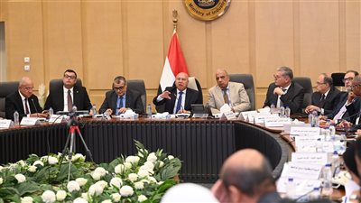 وزير الصنلعة: الموافقة على إقامة 3 مصانع بنظام المناطق الحرة الخاصة في مجالات ألواح وأرضيات PVC والملابس الجاهزة