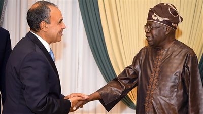 وزير الخارجية المصري يلتقي الرئيس النيجيري لتعزيز العلاقات الثنائية