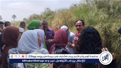 لقاءات تثقيفية وأمسيات وورش للأطفال ضمن أنشطة قصور الثقافة بالشرقية