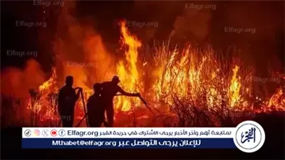 مصرع 10 من رجال الإطفاء والإنقاذ في حريق غابات مروع شمال غرب تركيا