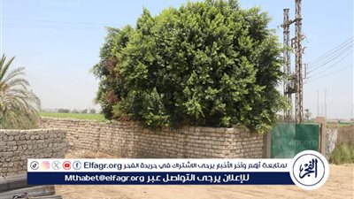 محافظ المنيا يتفقد قطعة أرض لإقامة سوق حضاري لتجارة الجملة بسمالوط على مساحة 4 أفدنة