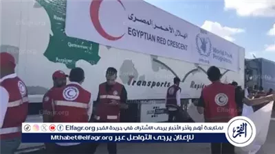 الهلال الأحمر المصري يُنشئ مخبزا بالشيخ زويد لإنتاج الخبز وتوجيهه إلى غزة (فيديو)