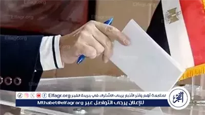انتخابات مجلس الشيوخ 2025.. تفاصيل آليات وضوابط تصويت المصريين في الخارج