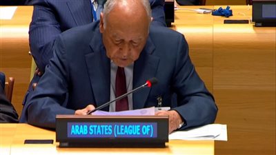 أبو الغيط يشارك في الجلسة الحوارية للمؤتمر الدولي لحل فلسطين وإسرائيل