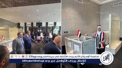 مشاركة المصريين بالخارج في انتخابات مجلس الشيوخ 2025.. ملحمة وطنية جديدة
