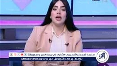 أشرف فرحات: زيادة الأجور في عقود الحفلات الكبرى قد تمول أغراضًا مشبوهة