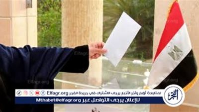إقبال ملحوظ من الجالية المصرية في أوروبا على صناديق انتخابات مجلس الشيوخ 2025