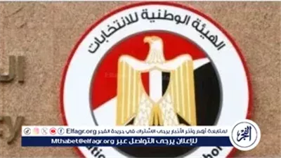الهيئة الوطنية للانتخابات: مشاركة المصريين بالخارج في انتخابات الشيوخ تعكس وحدة الشعب وقوة الدولة