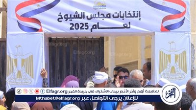 خبير: الطعن على نتائج انتخابات الشيوخ متاح خلال 48 ساعة (فيديو)