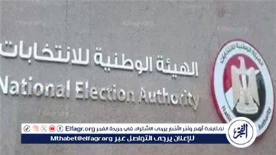 الهيئة الوطنية للانتخابات: وعي الناخبين في انتخابات 2025 يرسم مشهدًا ديمقراطيًا متطورًا