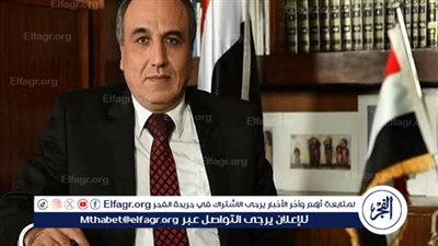 عبدالمحسن سلامة: الدعوات لإلغاء مجلس الشيوخ “خاطئة” وتنتقص من التجربة الديمقراطية