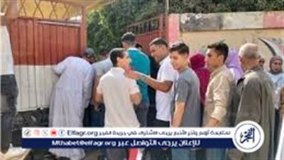 توافد متزايد من الشباب والسيدات على لجان بورسعيد في انتخابات الشيوخ