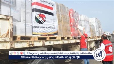 المجلس الوطني الفلسطيني: مصر ثابتة في موقفها تجاه قضيتنا.. وتسعى بجدية لإحياء المفاوضات