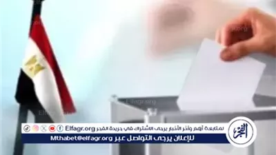 انتخابات مجلس الشيوخ 2025.. إعلان النتائج الرسمية 12 أغسطس وهذه شروط الفوز