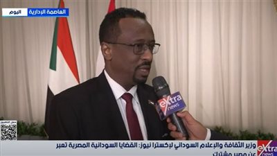 وزير الثقافة السوداني: العلاقات بين القاهرة والخرطوم تتجاوز الجغرافيا(فيديو)