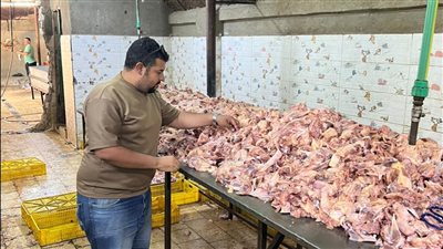 بيطري الجيزة يضبط 13557 كجم من اللحوم والدواجن الفاسدة خلال حملات مكبرة