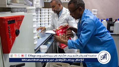 إنجاز تاريخي جديد.. 