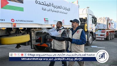 بالتنسيق مع مصر.. دخول 4565 طنا من المساعدات الإماراتية لغزة خلال أسبوعين