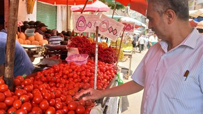 وكيل وزارة التموين في الإسكندرية يقود حملات تموينية على الأسواق العمومية وقطاع المخابز ومحطات تموين حي شرق 