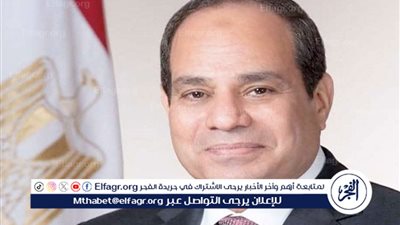 عاجل| السيسي يستقبل رئيس وزراء قطر