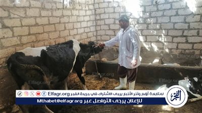 محافظ الإسماعيلية يتابع نشاط مديرية الطب البيطري للحفاظ على الثروة الحيوانية والداجنة