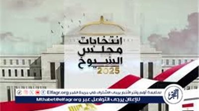 عاجل- نسبة المشاركة في انتخابات مجلس الشيوخ 2025.. الأعلى في تاريخ المجلس