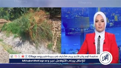 مدير ري أسيوط: لا أزمة في ري ترعة الجمسة وجميع الأراضي مروية