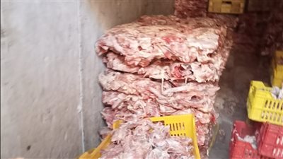 استكمالًا للحملات المكثفة..ضبط 10 أطنان من هياكل الدواجن غير الصالحة للاستهلاك الآدمي بكرداسة 