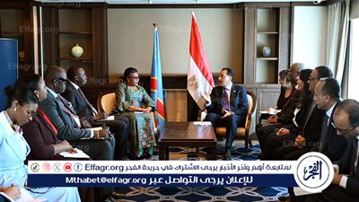 عاجل- مدبولي يلتقي رئيسة وزراء الكونغو الديمقراطية في قمة 