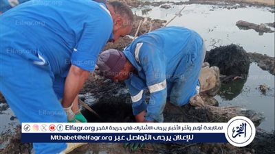 رئيس مياه القناة: تكثيف أعمال تطهير شبكات انحدار الصرف الصحى