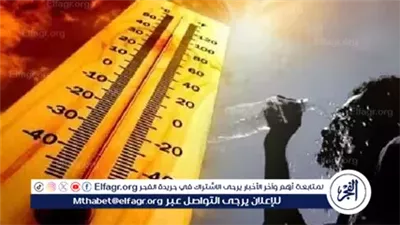 موجة حر قاتلة في البرتغال تودي بحياة أكثر من 1300 شخص