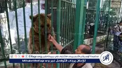 تطوير حديقة الحيوان بالجيزة.. مشروع قومي لتحويلها إلى وجهة عالمية