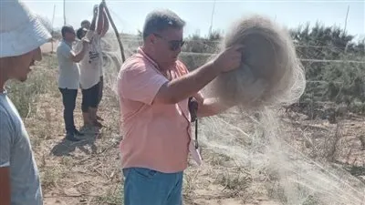 منال عوض تعلن إزالة كميات كبيرة من شباك صيد الطيور المهاجرة بشمال محمية البرلس