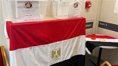 المصريون بالخارج يدلون بأصواتهم في إعادة انتخابات مجلس الشيوخ 2025