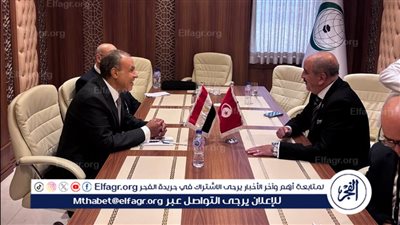 وزيرا خارجية مصر وتونس يبحثان العلاقات الثنائية والتطورات الإقليمية