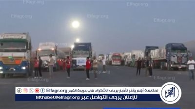 بالفيديو.. القافلة المصرية الـ23 تستعد لعبور كرم أبو سالم إلى غزة