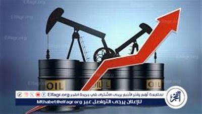 الحكومة: تطوير شامل لشركات التوزيع الوطنية.. واستثمارات جديدة لضمان سلامة وأمان إمدادات الوقود للمواطنين