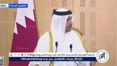 رئيس الوزراء القطري: تعميق العلاقات مع مصر تجسيدًا لرؤية قيادتي البلدين