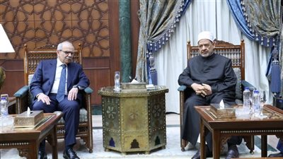 شيخ الأزهر لرئيس وزراء لبنان: مستعدون لاستضافة أئمة لبنان سنة وشيعة في أكاديمية الأزهر للتدريب 