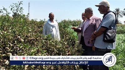 محافظ أسيوط يتابع موسم جني القطن بالمحافظة 